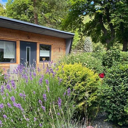 Das Ferienhaus Am Tiergarten Wernigerode Eksteriør bilde