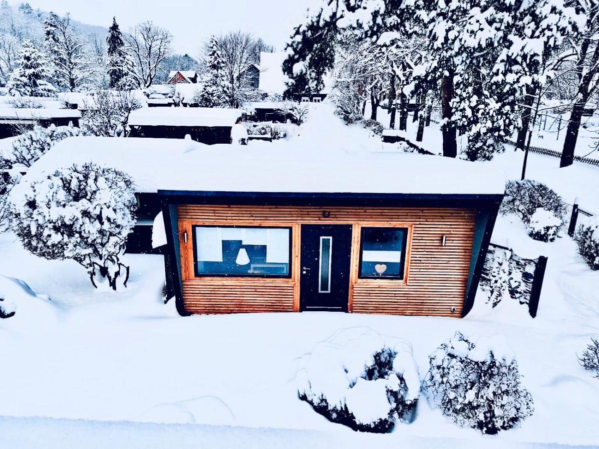 Das Ferienhaus Am Tiergarten Wernigerode Eksteriør bilde